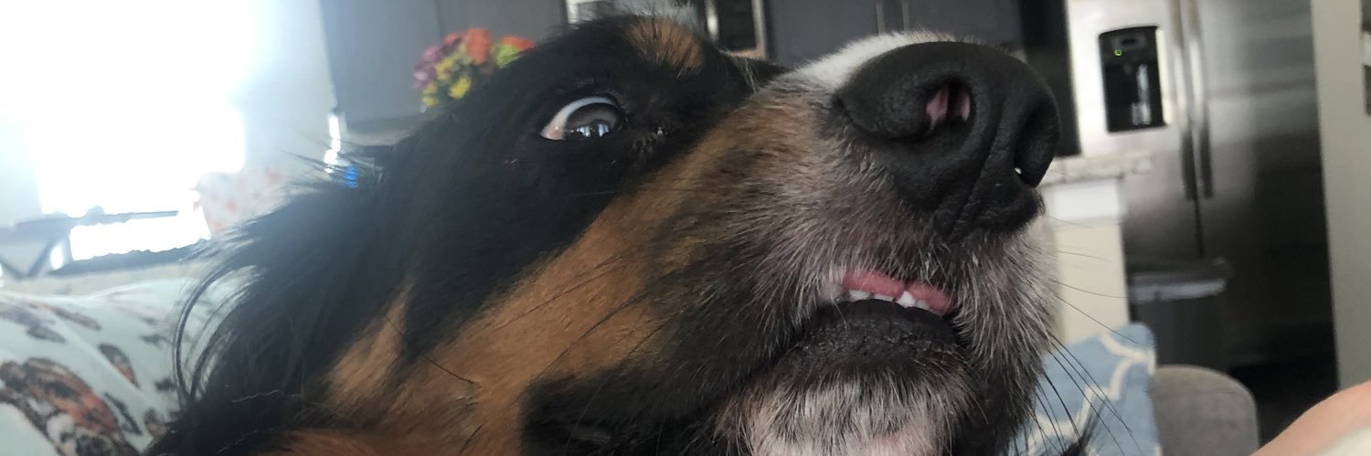 ACMJohnston's profile banner image