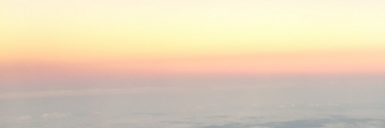 LINTBrasil's profile banner image