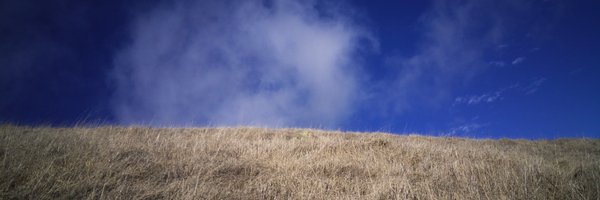 chrisjrn Profile Banner