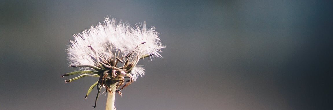 weewinn's profile banner image
