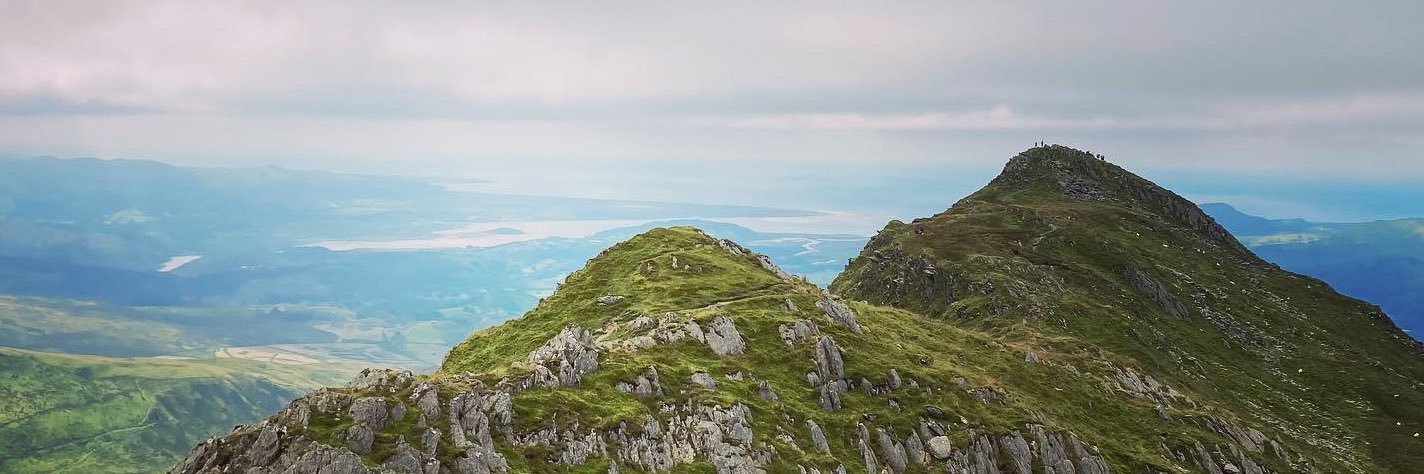 Guy Golob Janaway banner