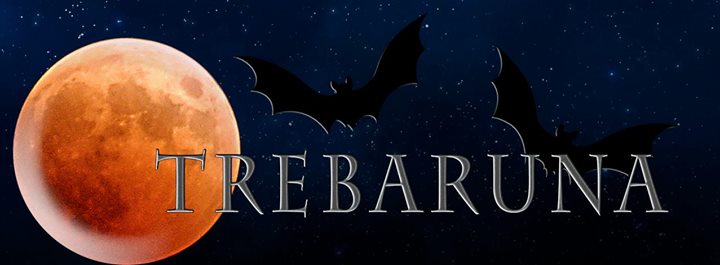 TrebarunaVk's profile banner image