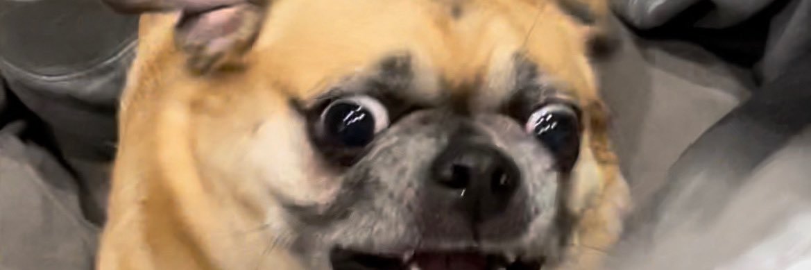 ThatGirlTara4's profile banner image