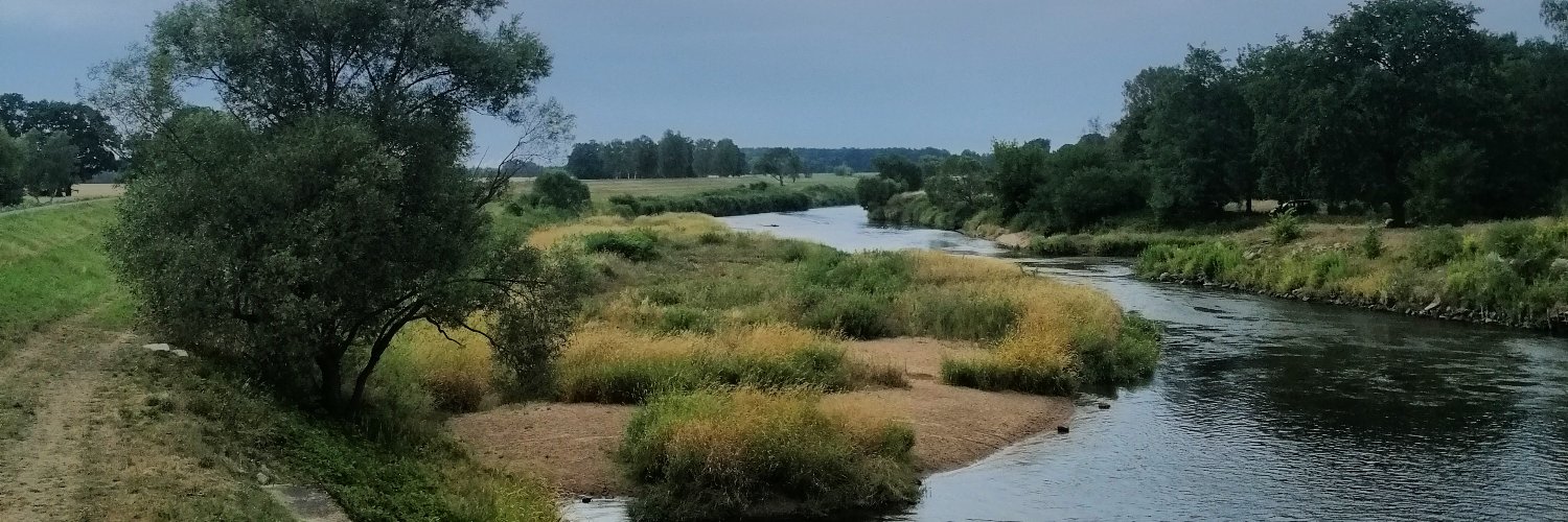 AnneBalzer's profile banner image