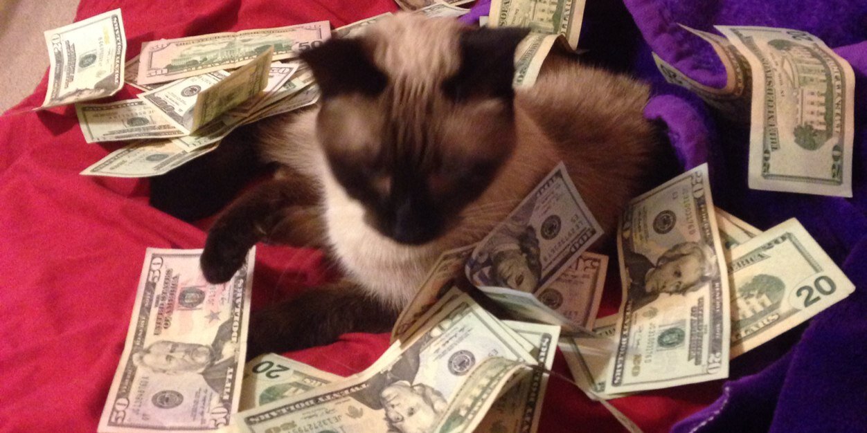 Hiigh_Ty's profile banner image
