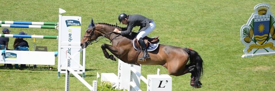 LoughviewHorses's profile banner image