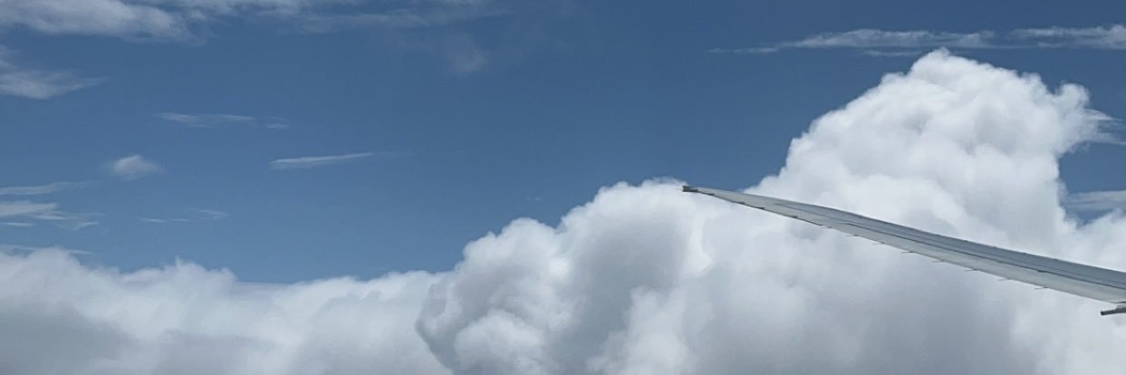 falkanderii_'s profile banner image