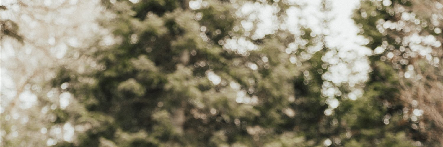 GrahamSunee's profile banner image