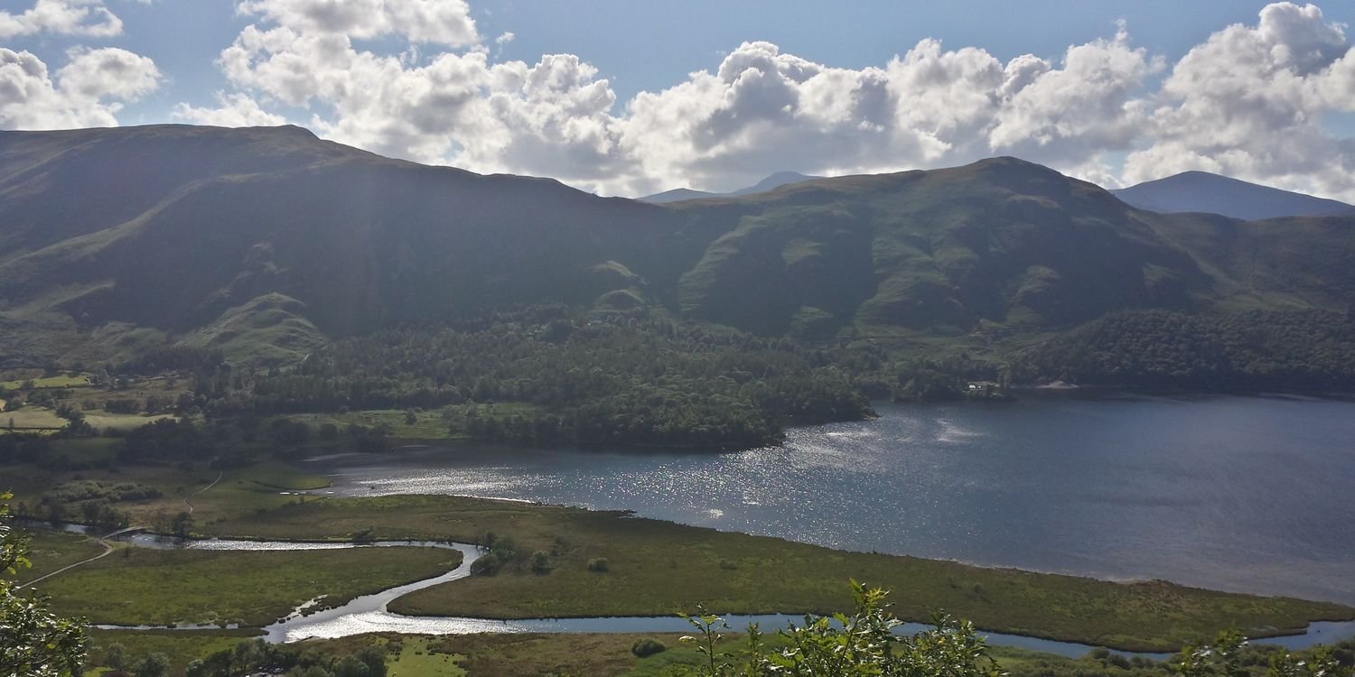 Charlotte Chan banner