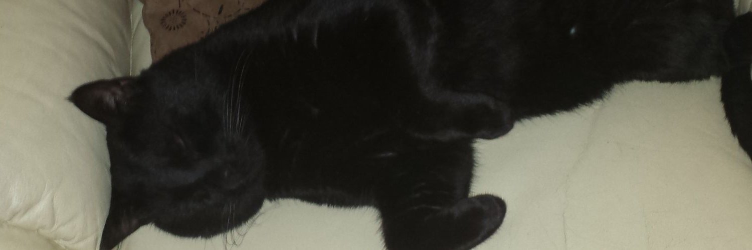 Alex80768621's profile banner image
