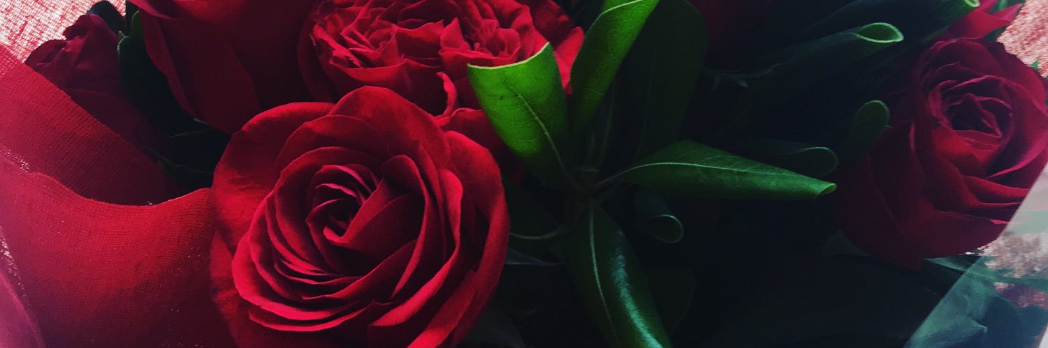 SheilaCruuz's profile banner image