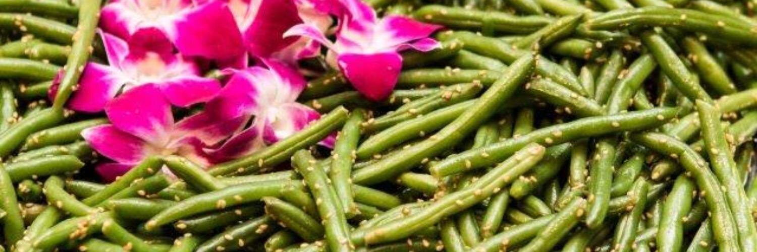 ArrowheadChefs's profile banner image