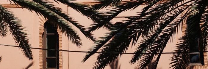 izariys's profile banner image