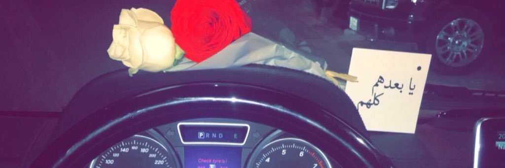 dalalr37's profile banner image