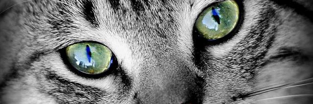 Anyiekt's profile banner image