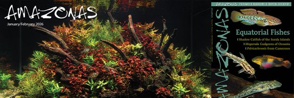 AmazonasMag Profile Banner