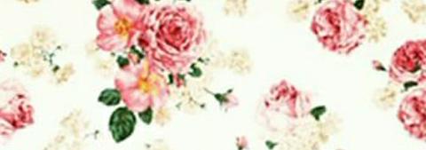 manuelapelaez2's profile banner image