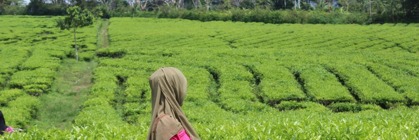 Widia_Abdul's profile banner image