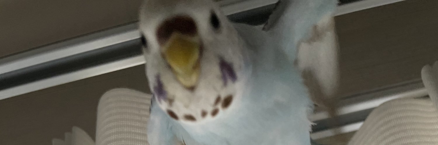 ogattamonsterrr's profile banner image