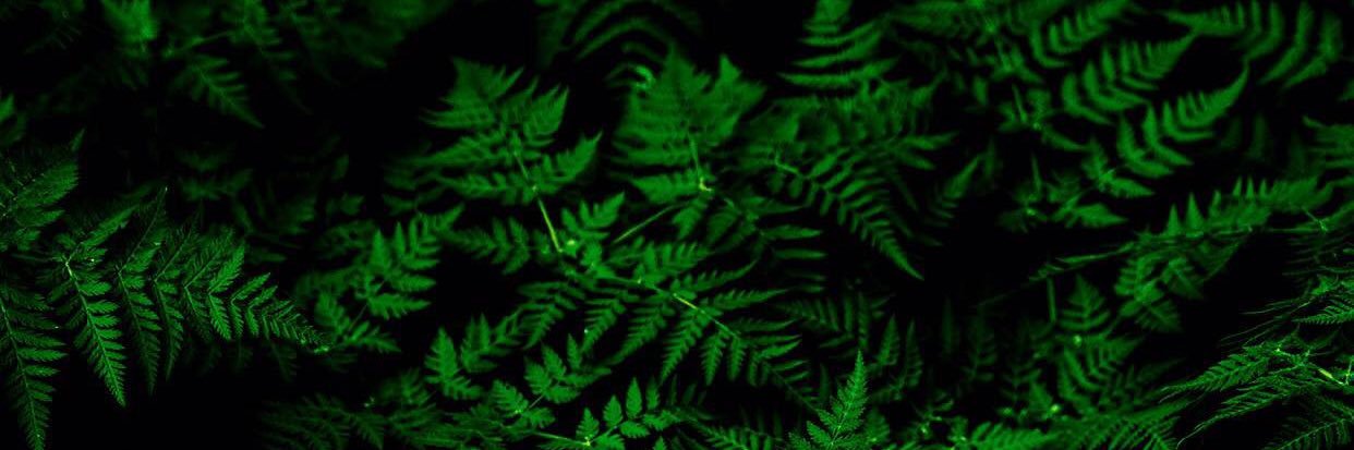 ABSTR_DE's profile banner image