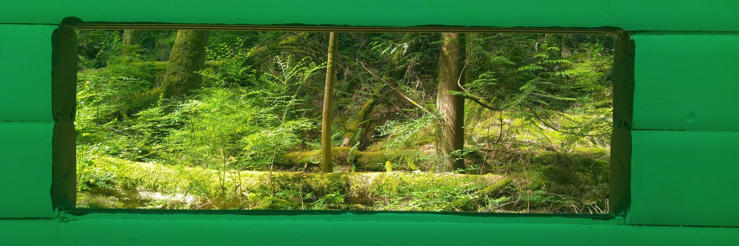 colinspear's profile banner image