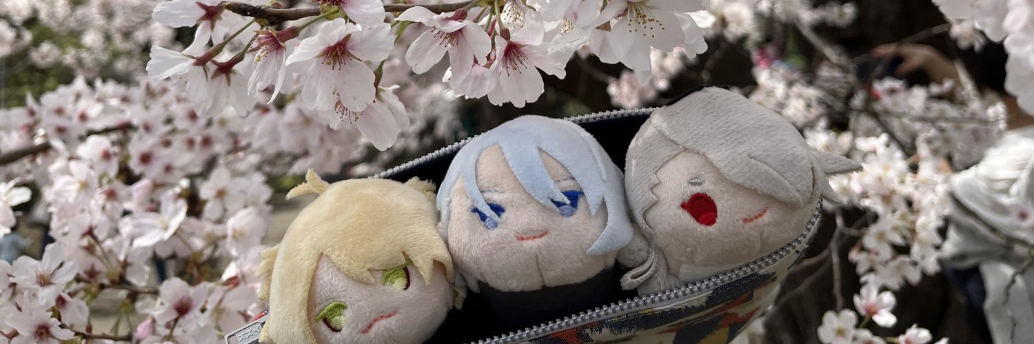 naca_chamomile's profile banner image