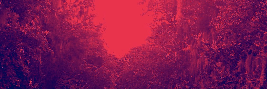 AlexandraBalda's profile banner image