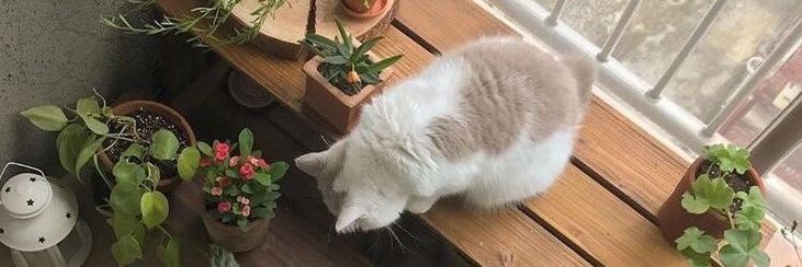 flowermoonnn's profile banner image