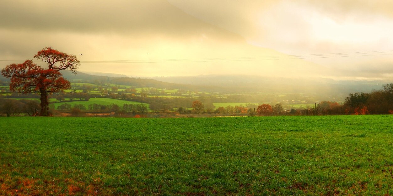 MartinMTurner's profile banner image