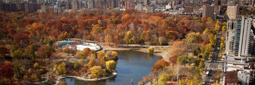 David B. Howard banner