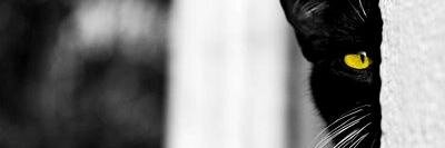 JuanManuelEB's profile banner image