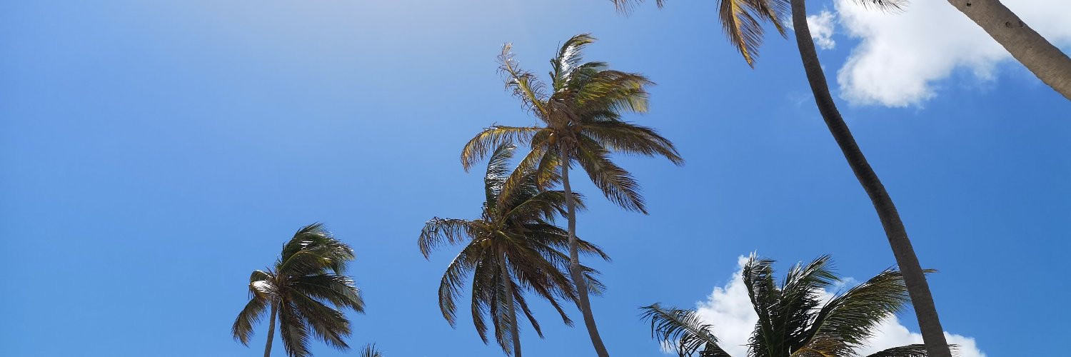 JoeyRizkk's profile banner image