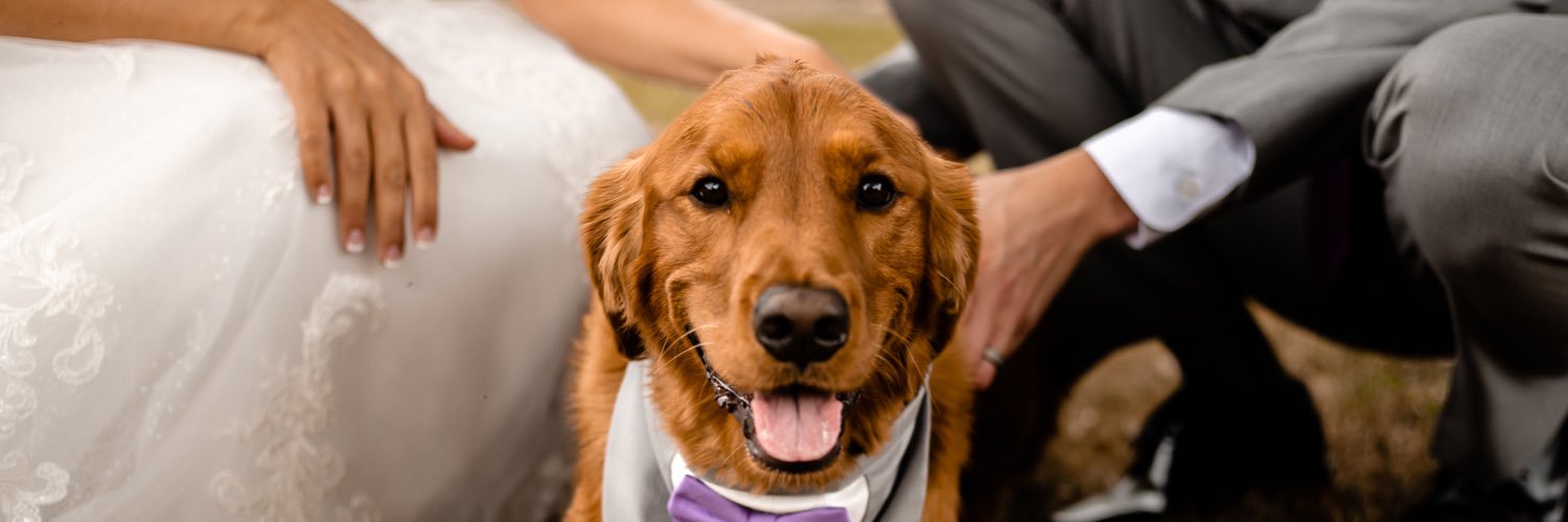 kenzieschuneman's profile banner image