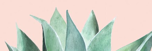 cloudynotsunee's profile banner image