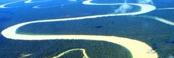 save amazon forest banner