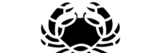 sach776's profile banner image