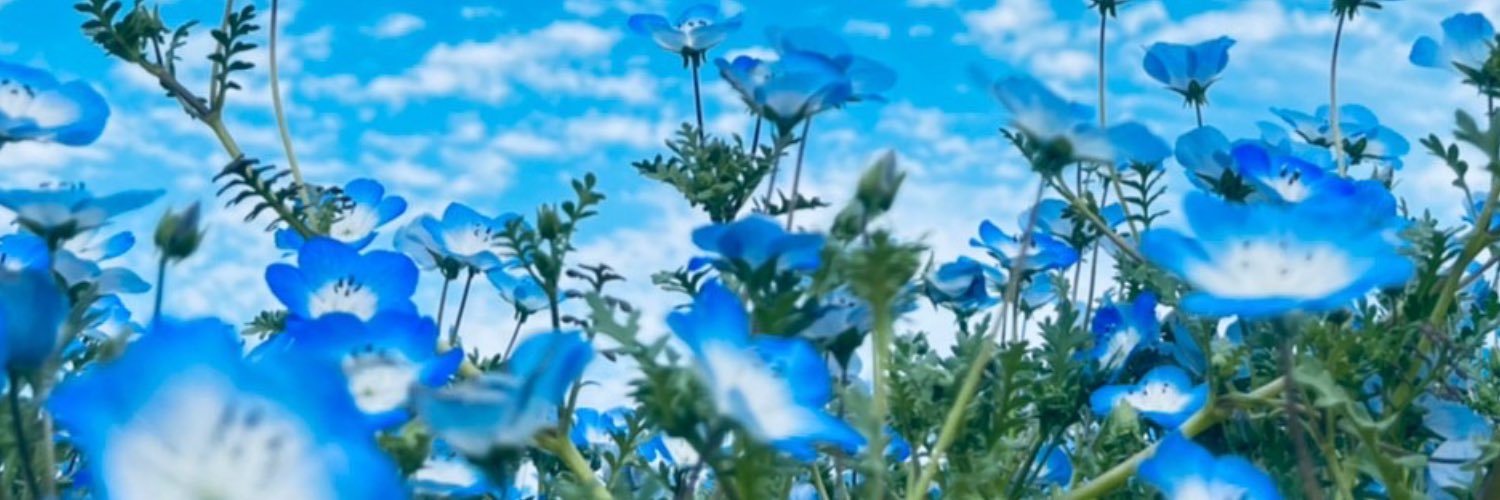 ___blueao's profile banner image