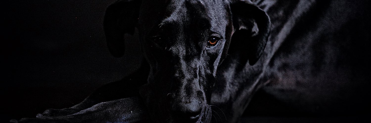 fabiopach84's profile banner image