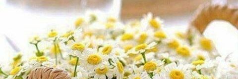 🌼🌻🌷🌹 banner