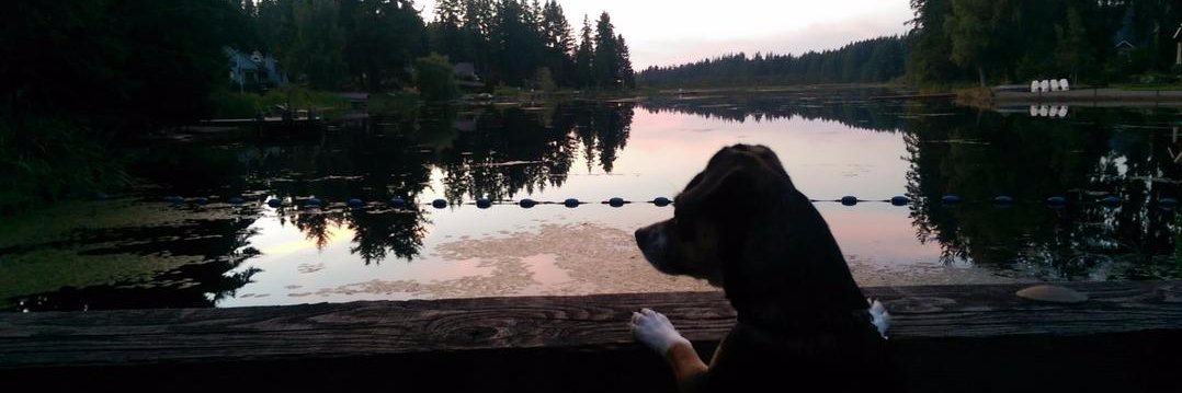 MoGillis's profile banner image