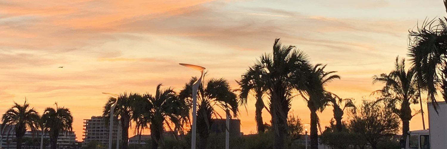 romanepmlrd's profile banner image
