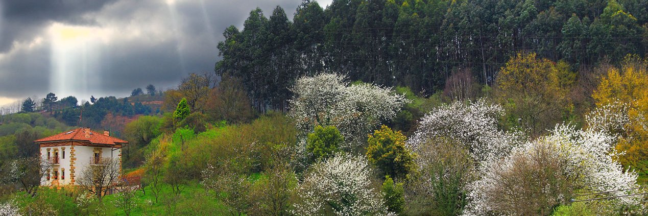 Iolandha7's profile banner image