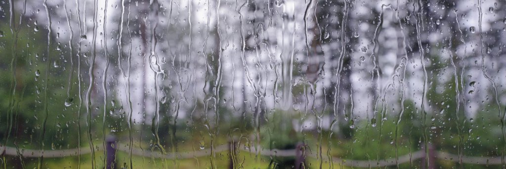 S4k4ri's profile banner image