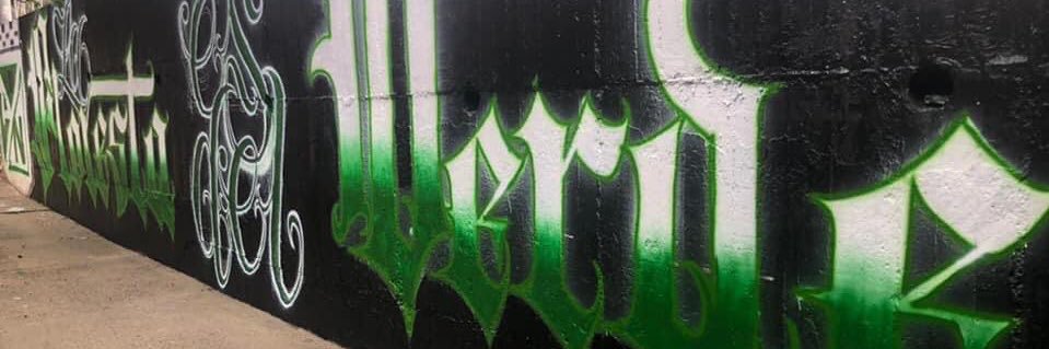 LDSfloresta's profile banner image