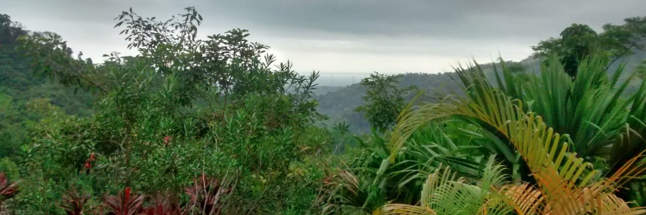 Embedo1's profile banner image