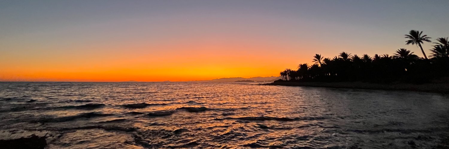 srlerner's profile banner image