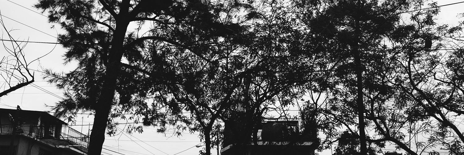 Choco_Chiwi's profile banner image