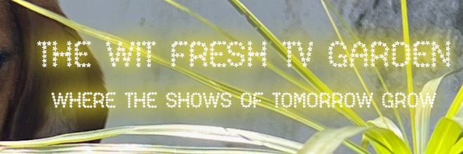TheWitFreshTV banner