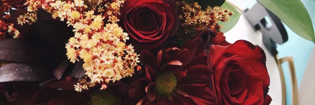 vegmamaKay's profile banner image
