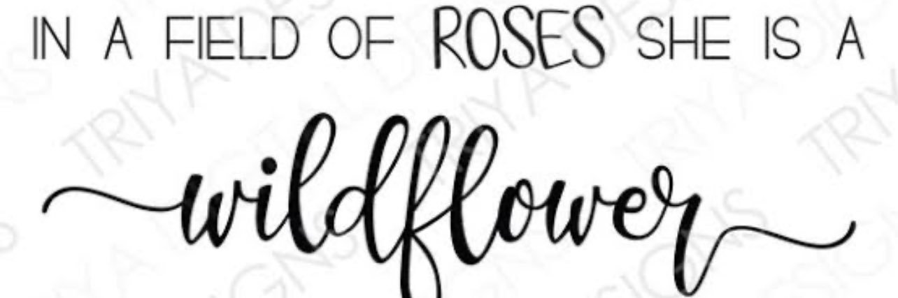 QuoSea's profile banner image